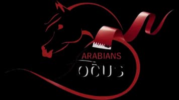 Arabians Focus Qatar